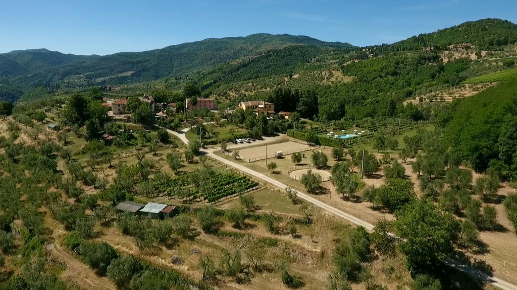 Villa Podere Il Poggiolo à Rufina Extérieur photo